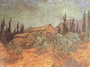 Vincent Van Gogh Wooden Sheds (nn04) painting